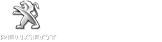 CHAMPION CITROEN